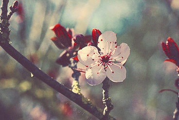 恶意发送验证短信