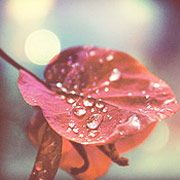 短信电话云轰炸